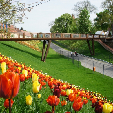 Crossline Bridge