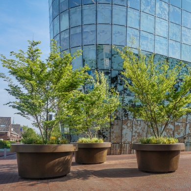 Giant Flowerpots