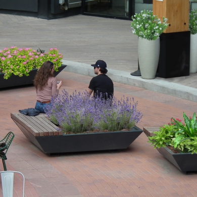 Solid Edge Green Benches