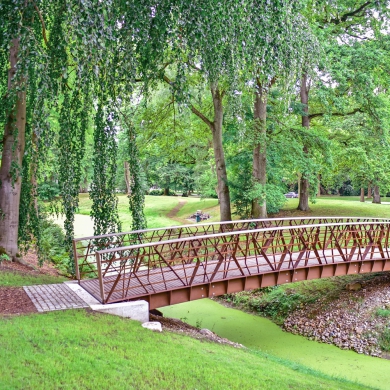 Branches Brücke